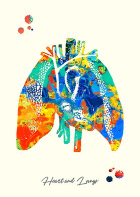 Heart and Lungs