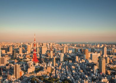 Tokyo Evening