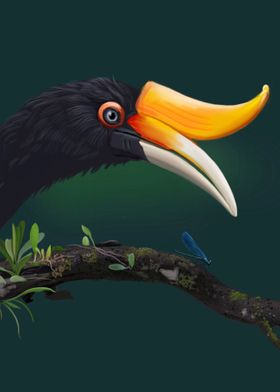 Hornbill