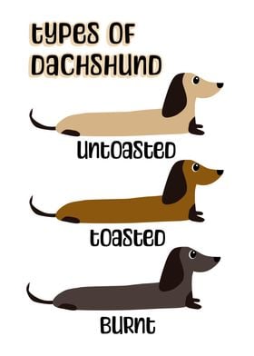 Types of Dachshund Dog