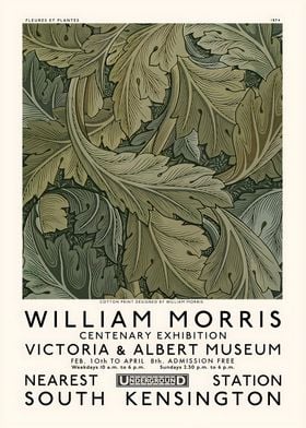 WILLIAM MORRIS