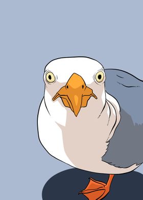 funny seagull face