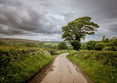 Clouds Over Spring Roads