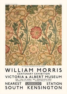 WILLIAM MORRIS