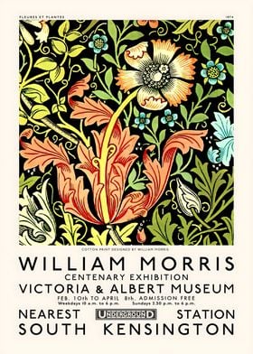 WILLIAM MORRIS