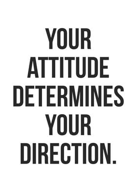 Attitude vs Direction