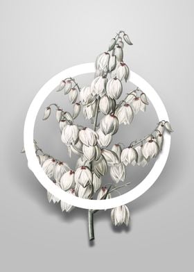 Vintage Aloe Yucca Flower