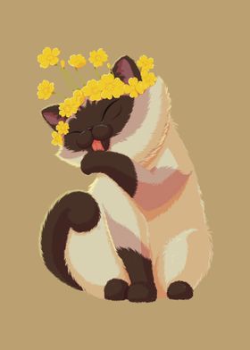 Buttercup Flower Cat