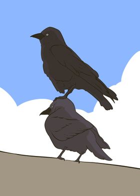 two crows