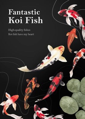 koi fishes 