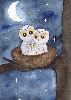 Family owl at night
