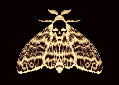 Moth Skull Design