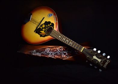 instrument round guitar