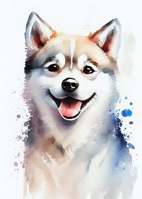 Husky Cute Dog