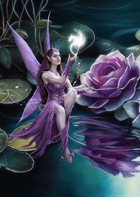 Purple Fairy and Roses
