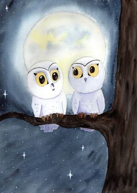 Owl couple at moonlight