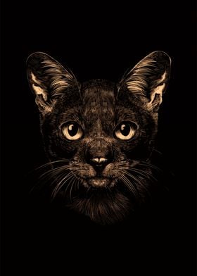 Black Cat Design