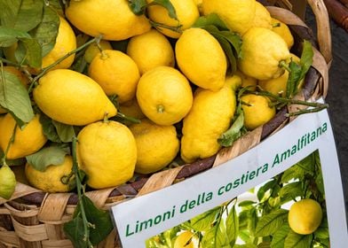 Amalfi Lemon Dream 3