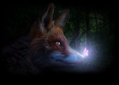 The fox and the glowing 