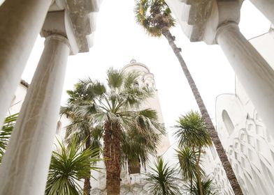 Duomo di Amalfi Garden 4 