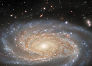 NGC 7038