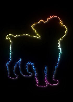 Neon Yorkshire Terrier