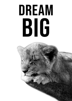 Dream Big quote lion cub