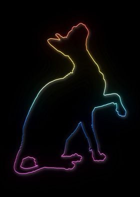 Neon Sphynx Cat