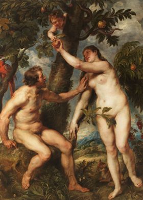 Master Collection-preview-3