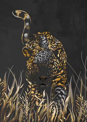 Gold jaguar prowl in grass