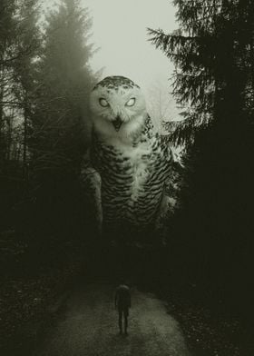 Terror owl