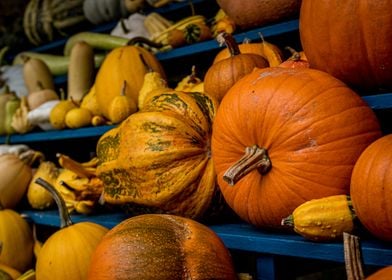 Pumpkins and Gourds