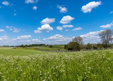 Spring Countryside Scene