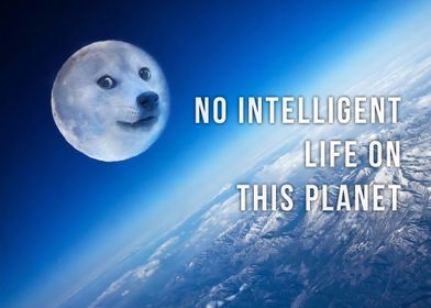 Doge Space