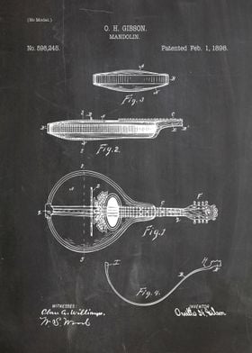 Mandolin patent 1898