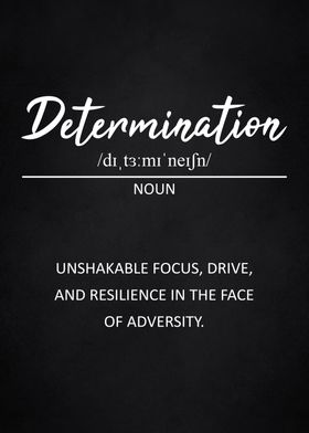 determination definition