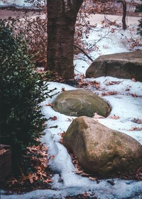 Stones in a snow covered g