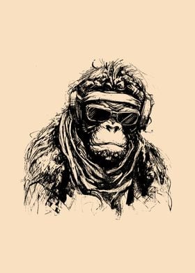 Ape Wearing Trendy Gear