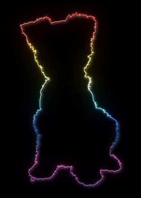 Neon Yorkshire Terrier