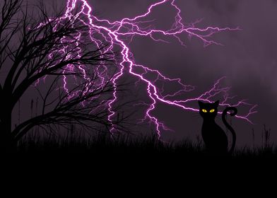 cat and lightning