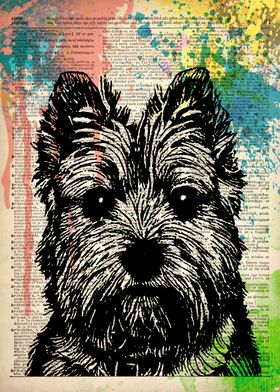 Cairn Terrier Dog art