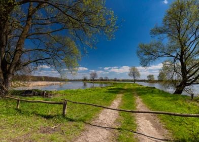 Spring in the wilderness