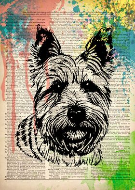 Cairn Terrier Dog art