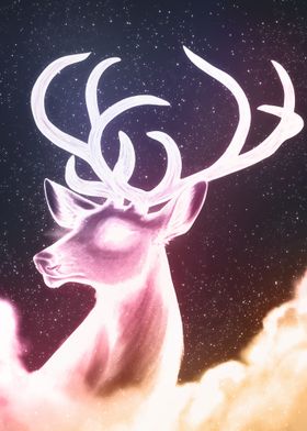 Stellar Stag