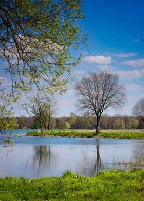 Spring pond and blue sky