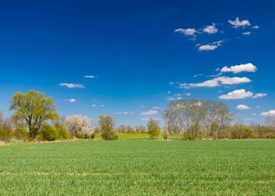 Landscape, meadow, travel