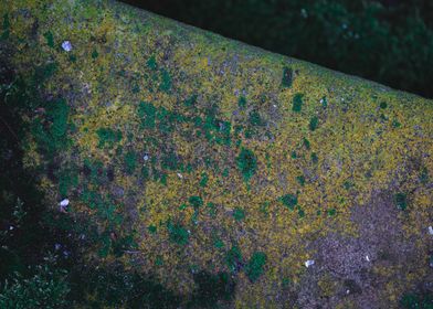 Texture of stairs