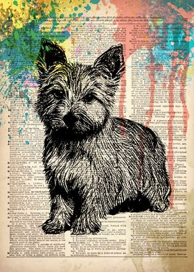 Cairn Terrier Dog ART