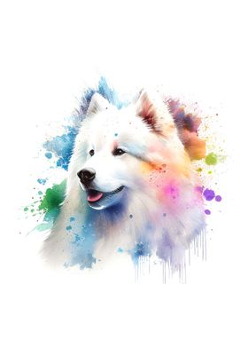 Samoyed Watercolors