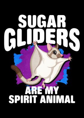 Sugar Glider Spirit Animal